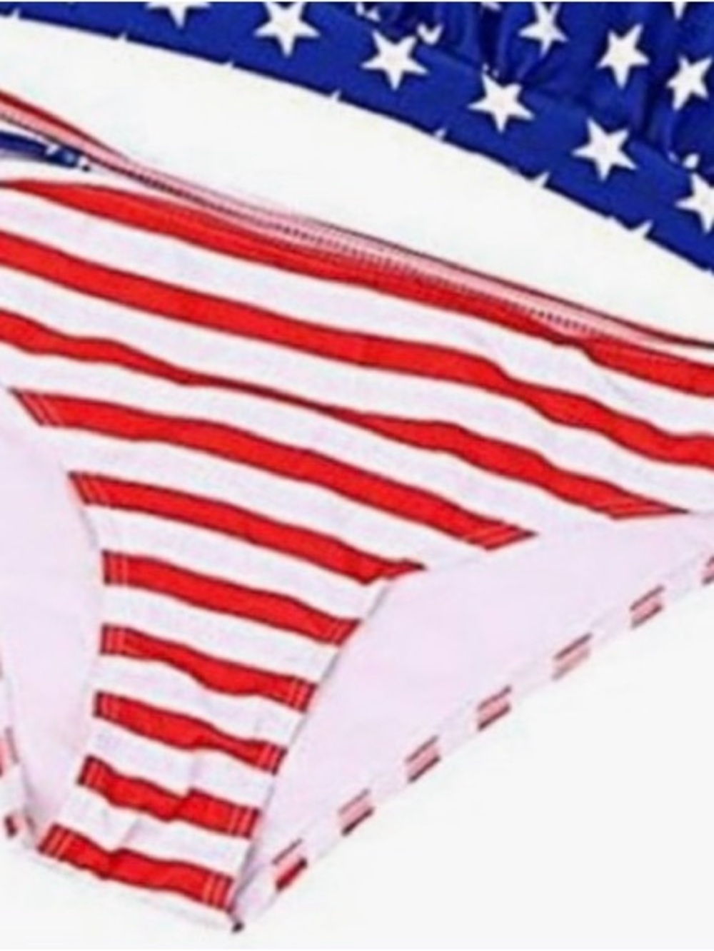 Lrg High Waisted Bikini Bottom American Flag Bathing Suit